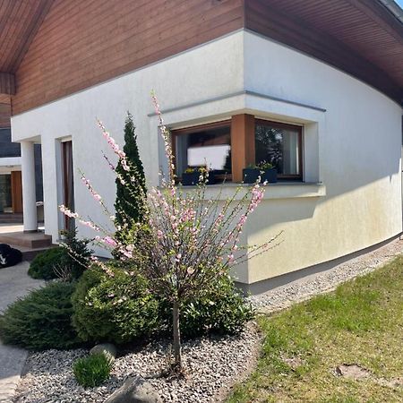 Apartament Przy Lesie Chojno-Blota Wielkie Экстерьер фото