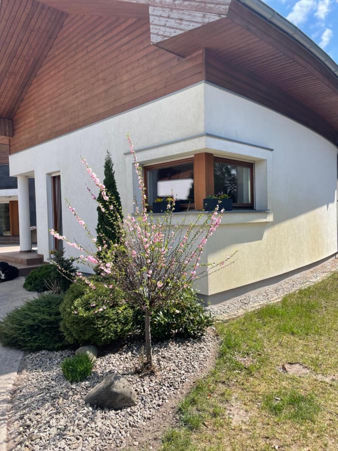 Apartament Przy Lesie Chojno-Blota Wielkie Экстерьер фото