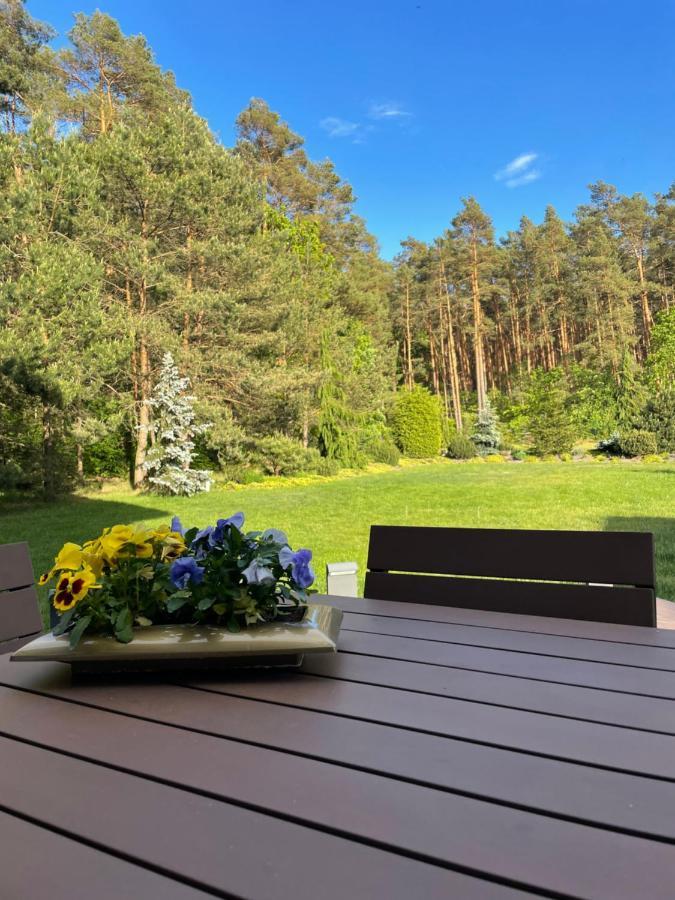 Apartament Przy Lesie Chojno-Blota Wielkie Экстерьер фото